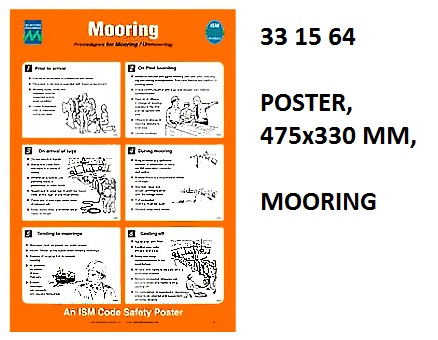331564