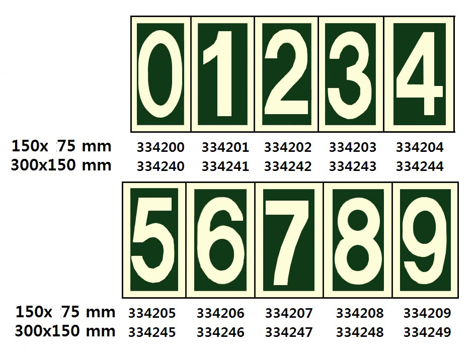 334244
