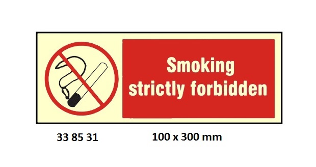 338531