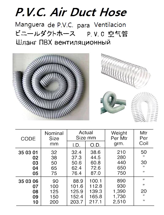 350303